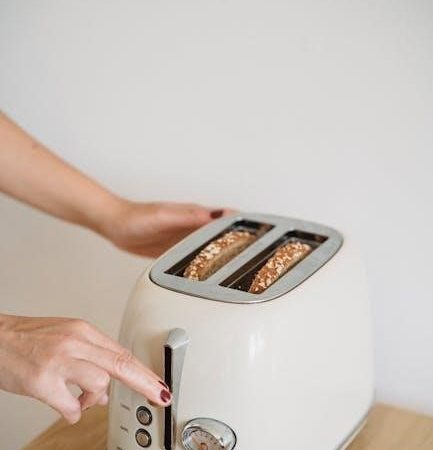 professional series toaster oven and air fryer manual pdf