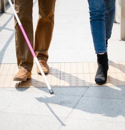 chicco nextfit user guide